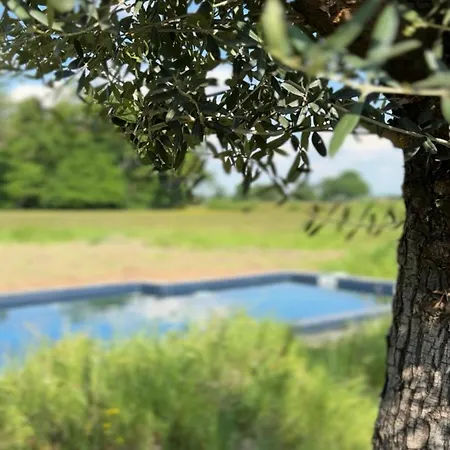 別荘 Le Secret Lusigny