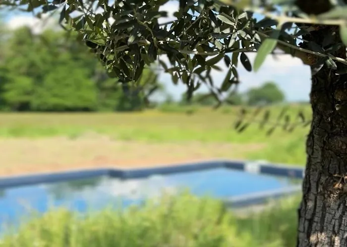 Holiday home Le Secret Lusigny